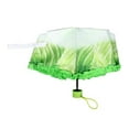 thumbnail image 3 of BIBABLYKE Compact Portable Travel Umbrella,Windproof Umbrella Creative Cabbage Umbrella with Reinforced Ribs for Sun & Rain, 3 of 8