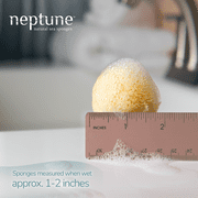 Neptune Sea Silk Sponge 12 Pack, Extra Small, Hand Cut, Approx. 1-2 inches.