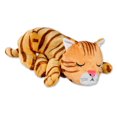 thumbnail image 1 of Pets Know Best - HuggieKitty Cat Toy, Soothing Sound & Warmth, Orange, 1 of 9