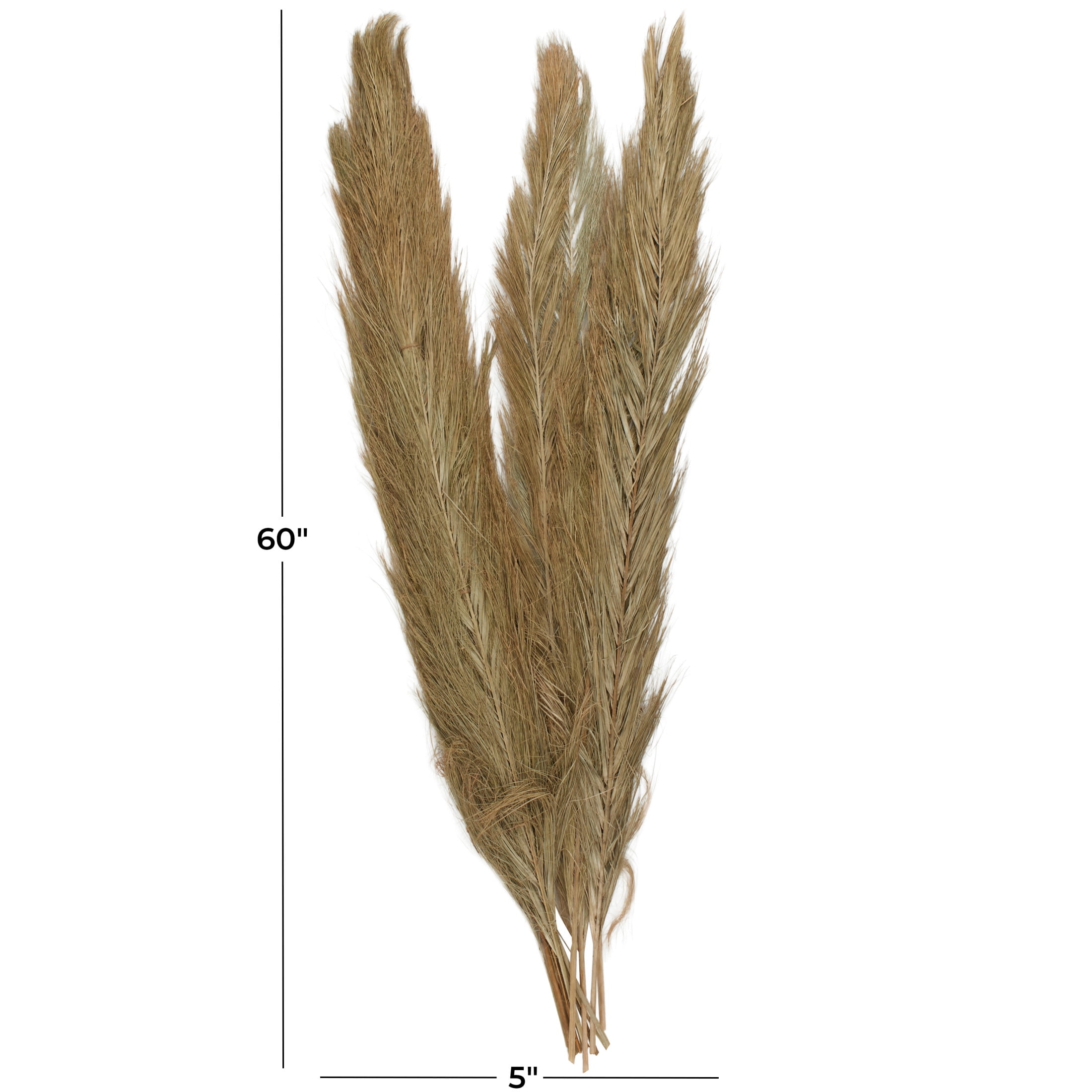 60" Tall Palm Leaf Natural Foliage Bouquet, by DecMode