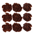 thumbnail image 1 of Miangastore 10pcs DIY Plant Samples Dry Flowers Material DIY Craft Material DIY Plant Specimen Decor, 1 of 8