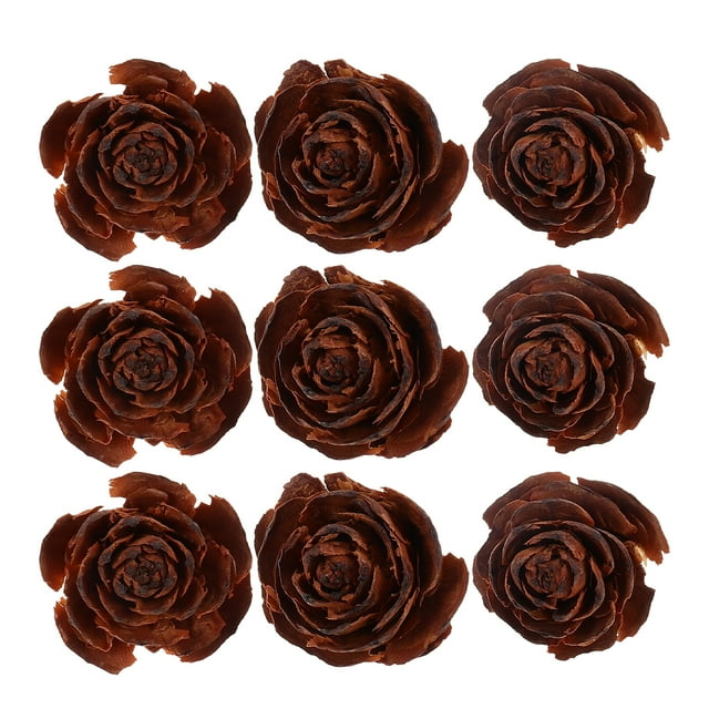 Miangastore 10pcs DIY Plant Samples Dry Flowers Material DIY Craft Material DIY Plant Specimen Decor