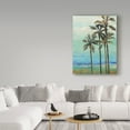 thumbnail image 3 of Trademark Fine Art 'Copper Palms I' Canvas Art by Silvia Vassileva, 3 of 3