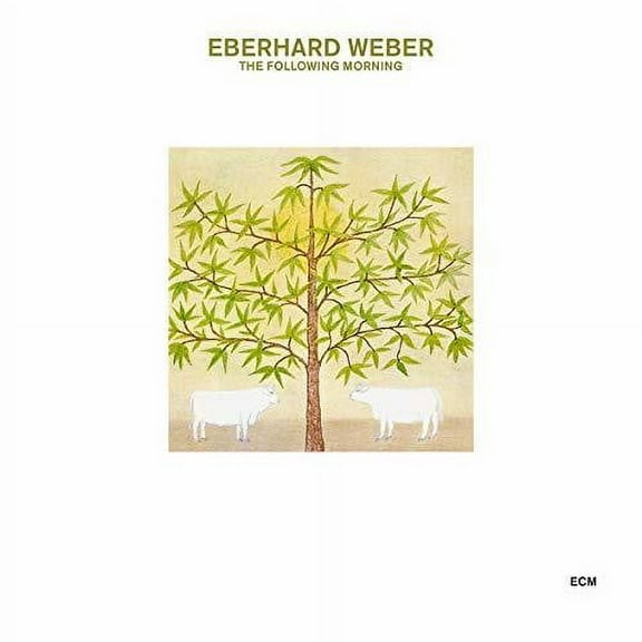 Eberhard Weber - The Following Morning - Music & Performance - CD