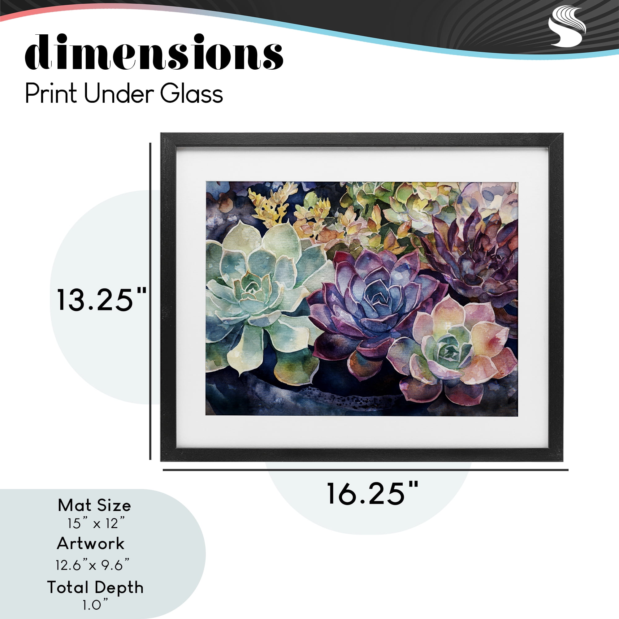 Stupell Industries Tutti Succulents Collection Black Framed Print Under Glass, design by Svetlana Aleynikova