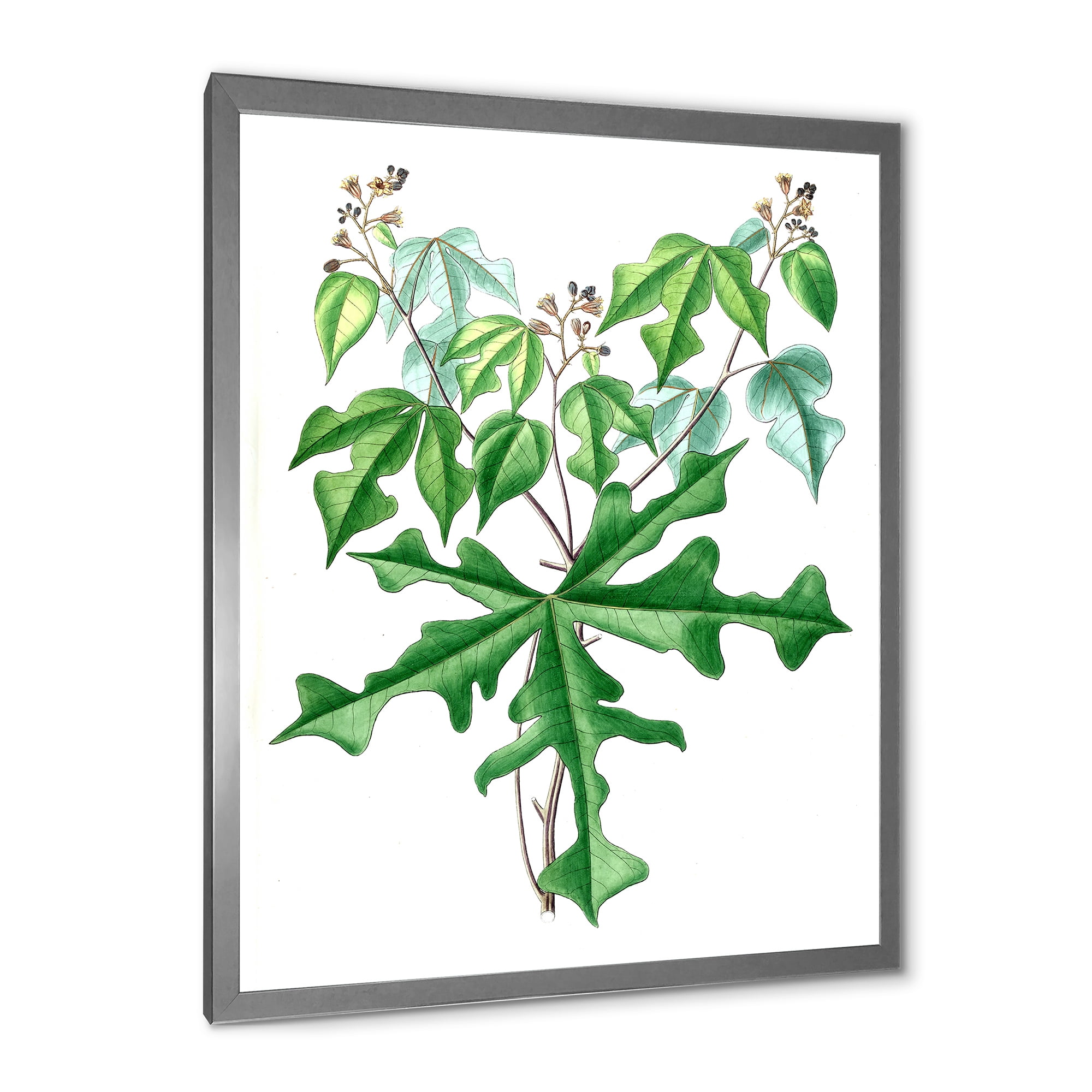 Designart 'Ancient Drawing of Wild Plants' Traditional Framed Art Print
