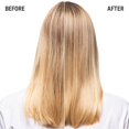 thumbnail image 3 of Goldwell Dualsenses Blondes and Highlights Anti-Brassiness Conditioner for Unisex, 10.1 Ounce, 3 of 9