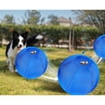 thumbnail image 6 of Dog Herding Ball for Outdoor Active Play and Exercise Large Inflatable Toy Ball for Shepherds, Corgis, Collies, 6 of 14