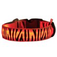 thumbnail image 2 of Flmtop Collier de Sécurité pour Chien, Chat, Chiot, Mode LED Clignotante, Nuit Visible, Orange, 2 of 9