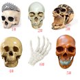 thumbnail image 2 of Bewildely Modelo de resina de cráneo humano tamaño real 1:1 esqueleto realista anatómico marrón 1 Decoración del hogar Calavera amarilla, 2 of 6