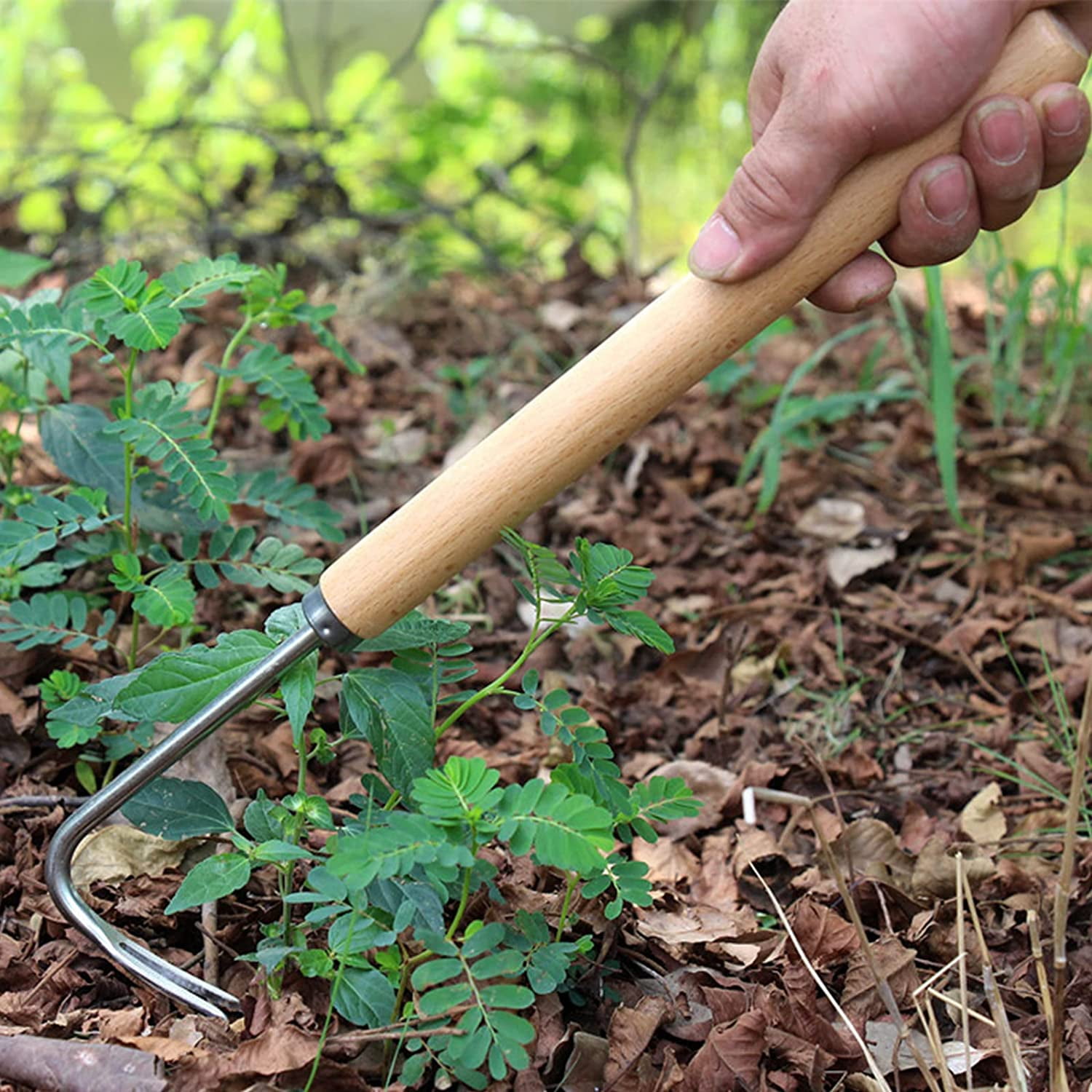Herbicida Manual , Outil De Désherbage ,acier Inoxydable Et Poignée En Bois Fabriqué Des Mauvaises Herbes De Jardin En Acier Fourchette à Fourrage Robuste Pour Chardon Racine , Tondeuse à Gazon