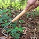 thumbnail image 1 of Gancho para herramienta de deshierbe y jardinería, artefacto para arrancar hierba, familia de flores, pala pequeña, pala de Canola, estrangulador de dibujo de acero inoxidable, 1 Uds. JM, 1 of 5