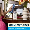 thumbnail image 4 of (2 pack) Aunt Fannie’s Glass & Window Cleaning Vinegar Spray, 16.9 oz, 4 of 9
