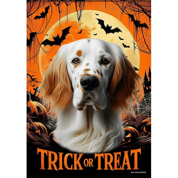 English Setter Orange -  Best of Breed  Halloween House Flag 28" x 40"