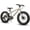 Silver, variant on Hiland Kids Fat Tire Bike, Shimano 7-Speed, Dual-Disc Brakes, 20 inch Kids Trail Mountain Bike for Boys Girls, Blue