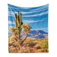 thumbnail image 1 of Cactus Soft Flannel Fleece Throw Blanket, Landscape Photo with Plants Botany Majestic Mountains and Sky, Cozy Plush for Indoor and Outdoor Use, 70" x 90", Multicolor, by Ambesonne, 1 of 6