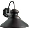 Forte Lighting 1 Light Outdoor Barn Light
