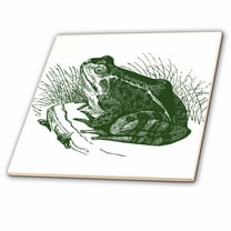 3dRose, Green Frog, 6 Inch Ceramic Tile