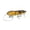 F, variant on Topwater Mouse Fishing Lures Segmented Long Cast Minnow Fake Bait for Bass Trout Saltwater Fishing Lures