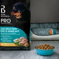 thumbnail image 3 of Pure Balance Pro+ Large Breed Puppy, Chicken & Brown Rice Recipe Dry Dog Food 3.5, 3 of 8