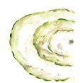 thumbnail image 3 of Vess, June Erica 15x18 Black Modern Framed Museum Art Print Titled - Lichen Halo V, 3 of 5