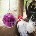 thumbnail image 3 of Chicken Vegetable Hanging Feeder Stainless Steel Poultry Feeder Ball Metal Detachable Feeding Ball with Chain Reusable Hanging Chicken Feeding Basket for Chicken Hens Duck Rabbit, 3 of 11
