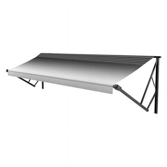 20 ft. Power & Hybrid Extra Large Roller Black Fade Black WG Awning