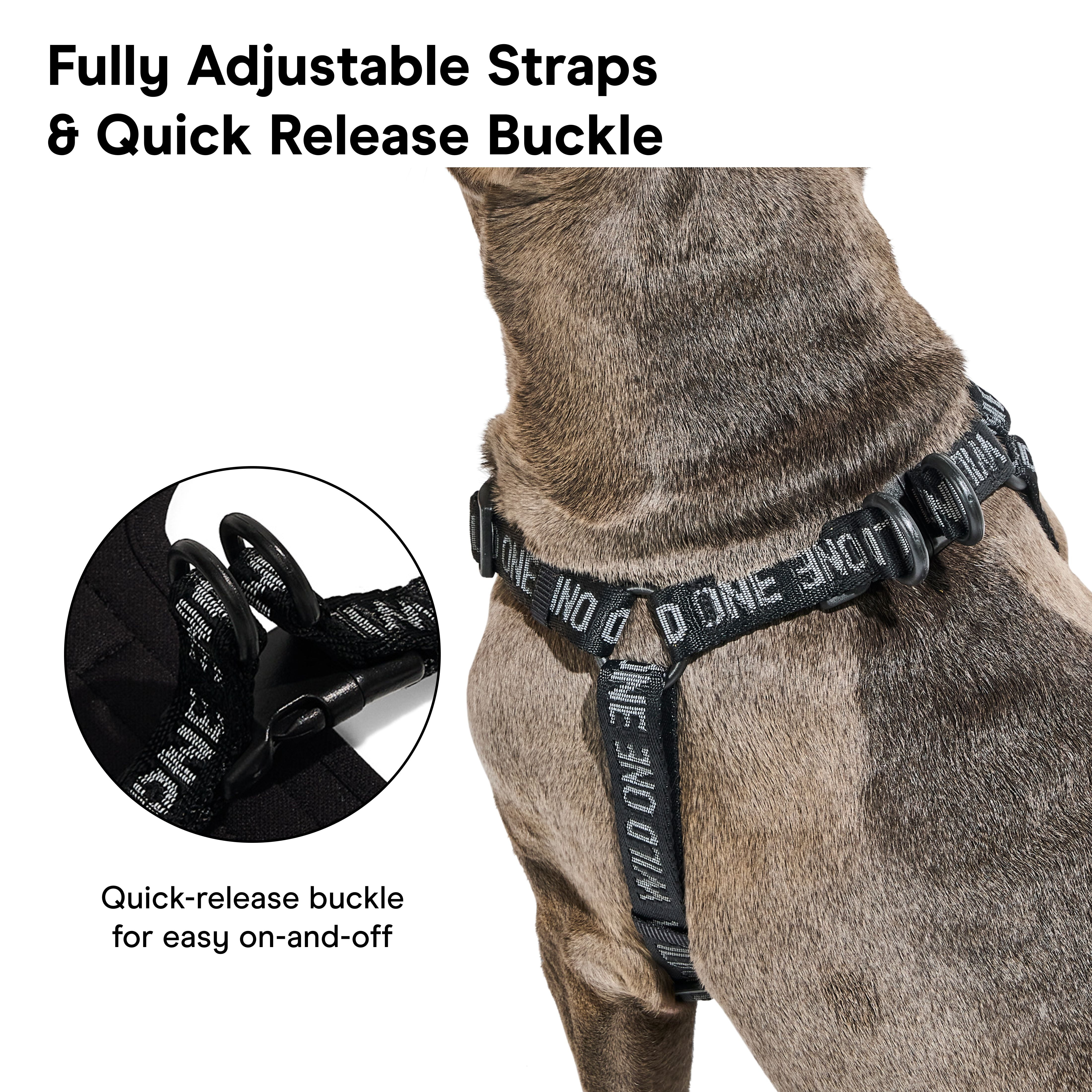Wild One Adjustable Cushioned Step-In Dog Harness, Black Reflective, Small