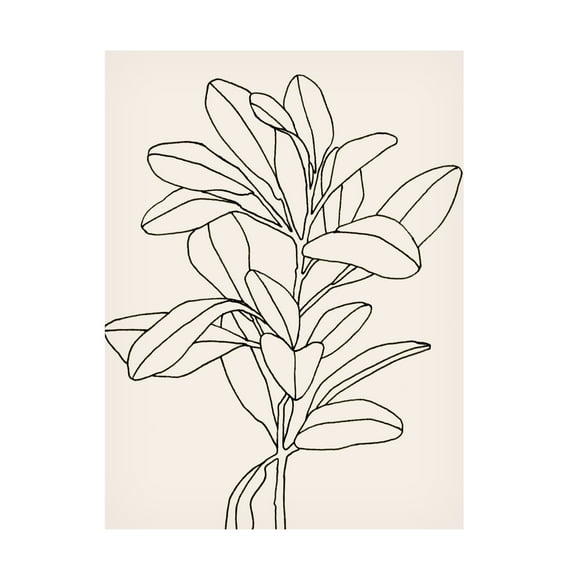 Emma Scarvey 'Olive Branch Contour II' Canvas Art