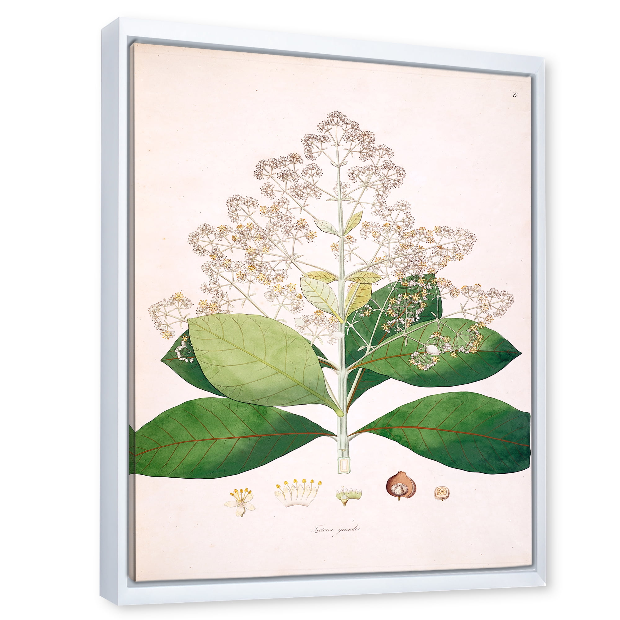 Designart 'Ancient London Plants III' Farmhouse Framed Canvas Wall Art Print
