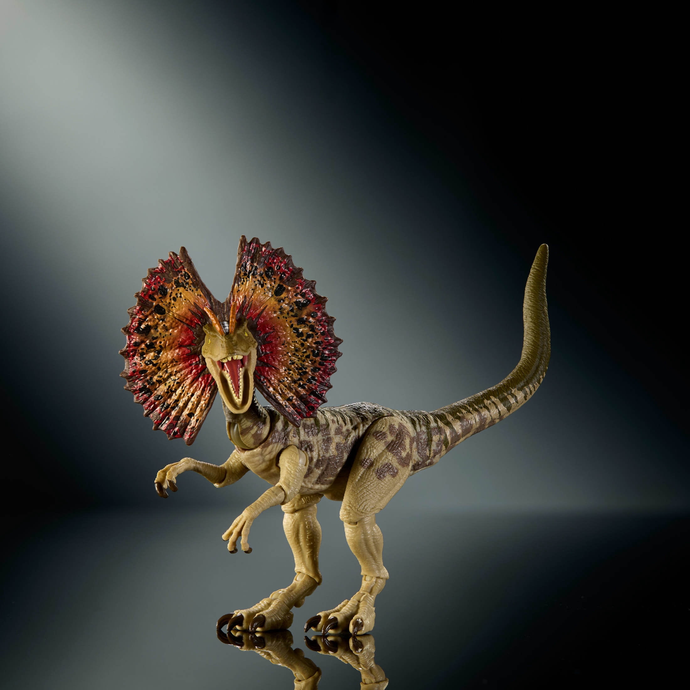 Jurassic World Hammond Collection Dilophosaurus Dinosaur Figure, Deluxe Design and Articulation