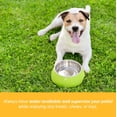 thumbnail image 5 of Rawhide Bones chews for dogs 5-6" - (10 Count) Delicious Beef Hide for dogs by 123 Treats, 5 of 6
