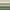 Ivory/Celery/Moss, variant on Waverly Inspirations 8 oz White/Elephant/Ink, Set of 3, 8 fl oz each