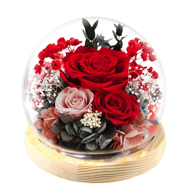 Cúpula de cristal FIACO Eternal Flower de regalo con forma de rosa preservada, 12 x 13 cm