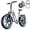 White, variant on TST Electric Bike for Adult, 750W Motor 48V/15AH, UL2849, 20"x4" Fat Tire Mountain E-bike, Hydraulic Disc Brakes, APP Control