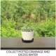 thumbnail image 3 of PAMINGONO De Drenaje Para Plantas De Jardín Y Interior En Inoxidable Resistente, 3 of 8