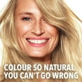thumbnail image 4 of Garnier Belle Color Permanent Hair Dye, 21 Blue Black, 100% Grey Coverage, Enriched with Argan Oil and Wheat Germ Oils - 1 Application, 4 of 9