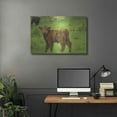 thumbnail image 5 of Luxe Metal Art 'Scottish Highland Cattle X' by Alan Majchrowicz,Metal Wall Art, 36"x24", 5 of 7