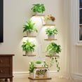 thumbnail image 1 of Soporte para plantas de interior con luz de cultivo EVAWOO de 8 niveles (blanco), 1 of 9
