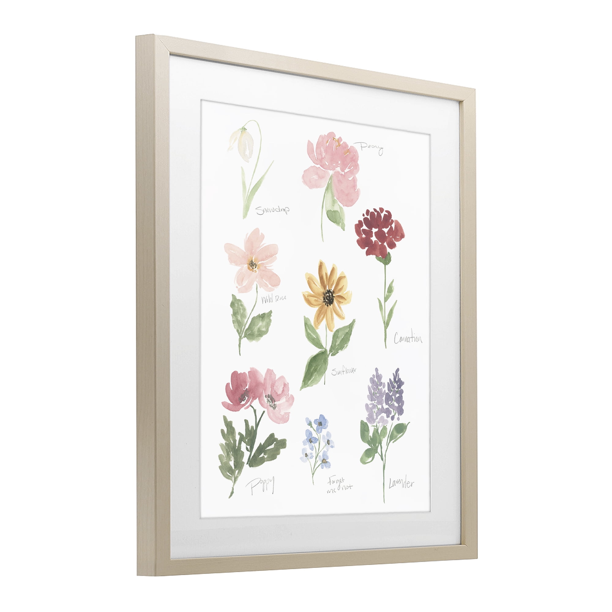 Stupell Industries Labeled Flower Varieties Birch Framed Print Under Glass, design by Lucille Price