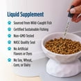 thumbnail image 6 of Nordic Naturals Omega-3 Cat, Liquid, Fish Oil For Cats, with EPA & DHA 2 Oz, 6 of 9