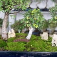 thumbnail image 5 of Pungan fairy gardens bridge Fairy Garden Mini Bridge Plastic Artificial Bridge Miniature Chinese Bridge Model For Garden Landscape Accessories Dollhouse Ornaments,3.54"X1.18"X0.98", 5 of 10