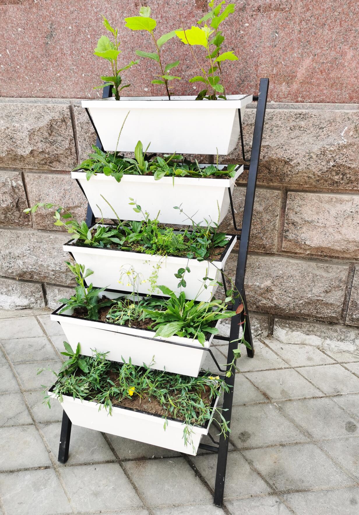 Better Homes and Gardens Metal Herbs Growing Planter,White,Black Stand - image 9 of 10