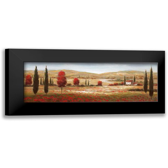 Nan 14x7 Black Modern Framed Museum Art Print Titled - Tuscan Poppies I