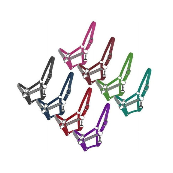 2-Ply Medium/Large Pony Nylon Halter w/ Crystals