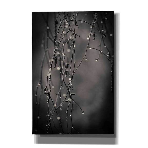 Epic Graffiti 'Bare Branches 2017' by Gary Horsfall, Giclee Canvas Wall Art, 12"x18"
