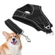 thumbnail image 5 of Arnés Para Perros, Chaleco Reflectante Ajustable, Cómodo Con Correa Para Adiestramiento De Perros Para Pasear Perros, 5 of 8