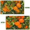 thumbnail image 2 of Malla protectora para árboles frutales EaseThrift 3,7 x 3,7 m de alta resistencia con cierre de cremallera, 2 of 6