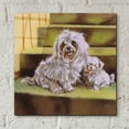 thumbnail image 4 of Epic Art 'Maltese' by Barbara Keith, Acrylic Glass Wall Art, 12"x12", 4 of 8