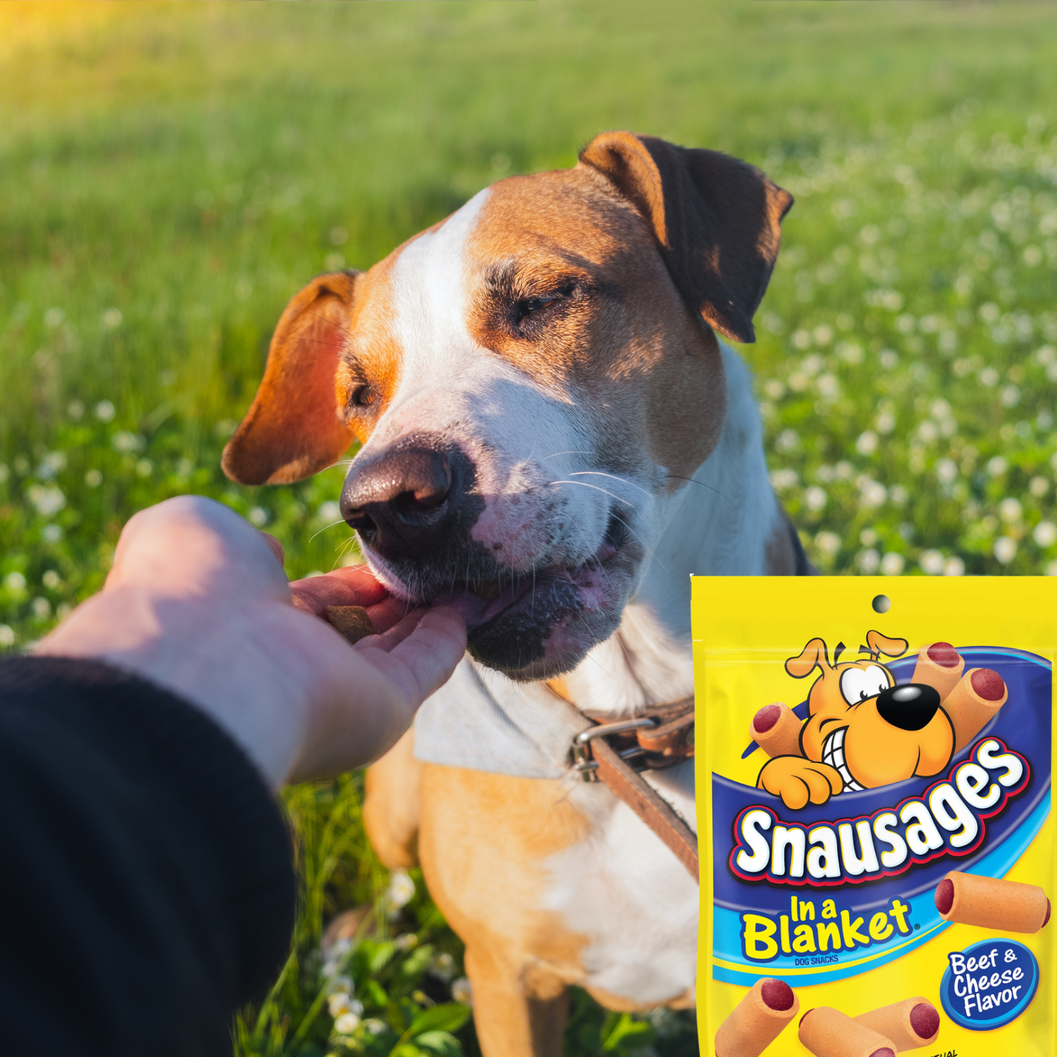 Snausages hotsell dog treats